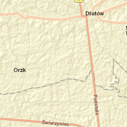 Dłutów Street Map