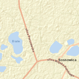 Sosnowica Street Map