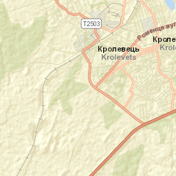 Krolevets’ Street Map