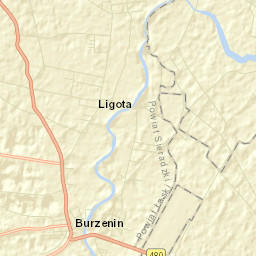 Burzenin Street Map