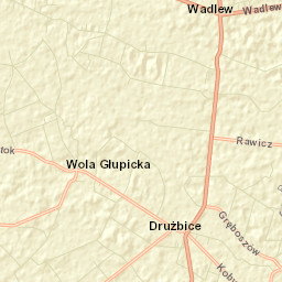 Drużbice Street Map