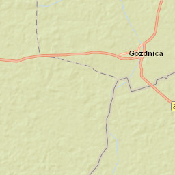 Gozdnica Street Map