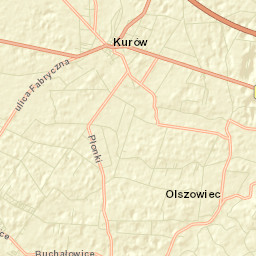 Kurów Street Map