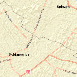 Spiczyn Street Map