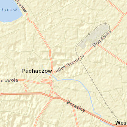 Puchaczów Street Map
