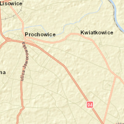 Prochowice Street Map