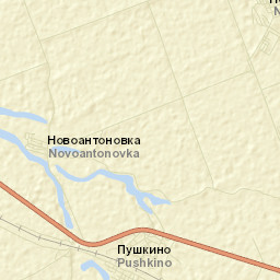 Pushkino Street Map