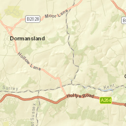 Dormansland Street Map
