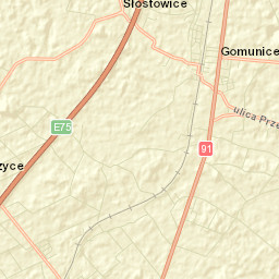 Gomunice Street Map