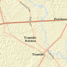 Trawniki Street Map