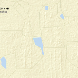 Staryye Ozinki Street Map