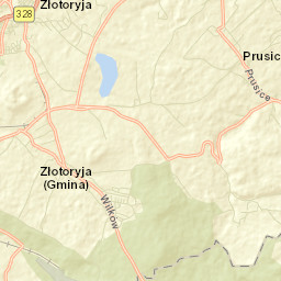 Wilków Street Map