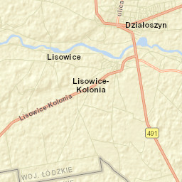 Działoszyn Street Map