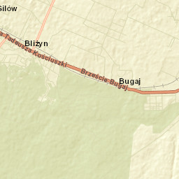Bliżyn Street Map