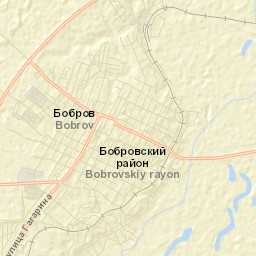 Bobrov Street Map