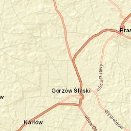 Praszka Street Map