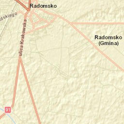Radomsko Street Map