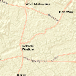 Powiat radomszczański Street Map