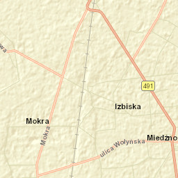 Miedzno Street Map