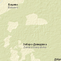 Zabaro-Davidivka Street Map