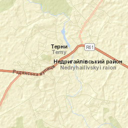 Terny Street Map