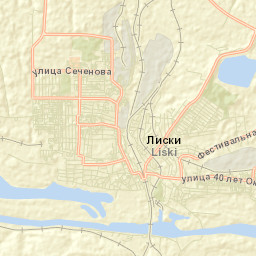 Liski Street Map