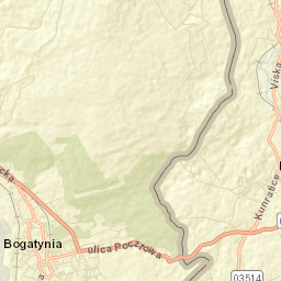 Bogatynia Street Map
