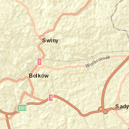 Bolków Street Map