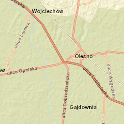 Olesno Street Map