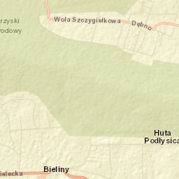 Bieliny Street Map