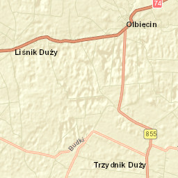 Trzydnik Duży Street Map