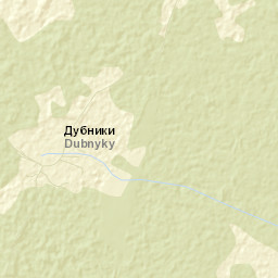Dubnyki Street Map