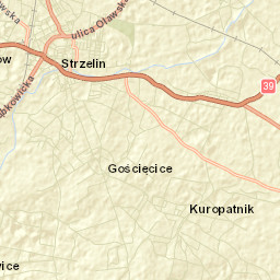 Strzelin Street Map