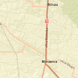 Brzeziny Street Map