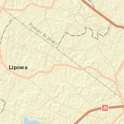 Dąbrowa Street Map