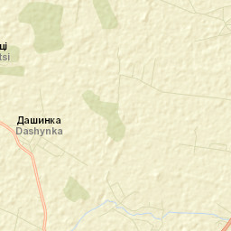 Dashynka Street Map