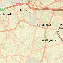 Loos Street Map