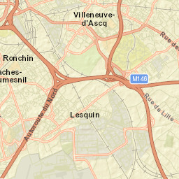 Lesquin Street Map
