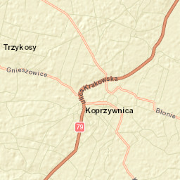 Koprzywnica Street Map