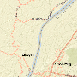 Tarnobrzeg Street Map