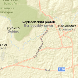Borisovka Street Map