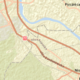 Nisko Street Map