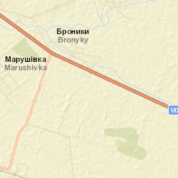 Broniki Street Map