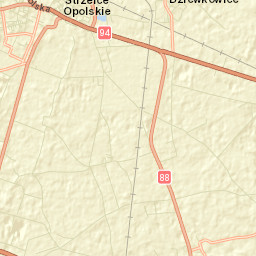 Strzelce Opolskie Street Map