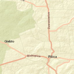 Pilica Street Map
