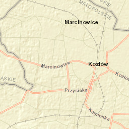 Kozłów Street Map