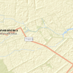 Makariv Raion Street Map