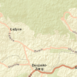 Duszniki-Zdrój Street Map