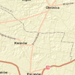 Oleśnica Street Map