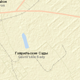 Pavlovskiy Rayon Street Map